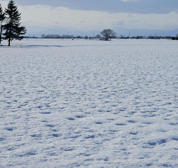 雪えくぼ4