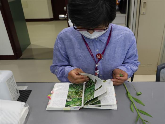 植物図鑑で調べる