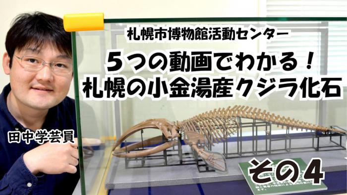 クジラ動画4