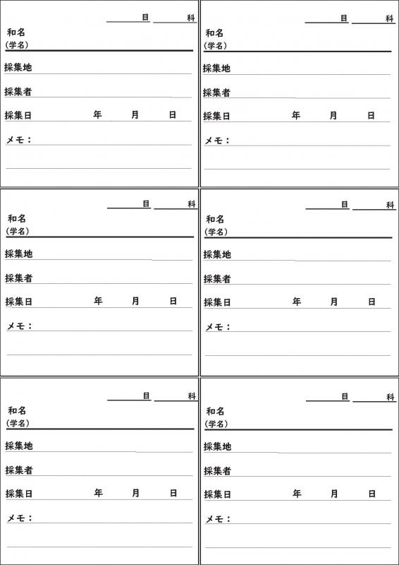 昆虫の標本ラベル