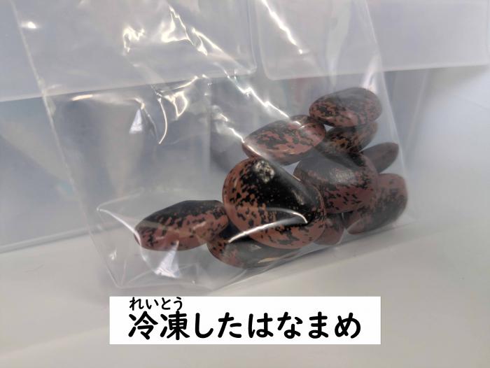 冷凍したはなまめ