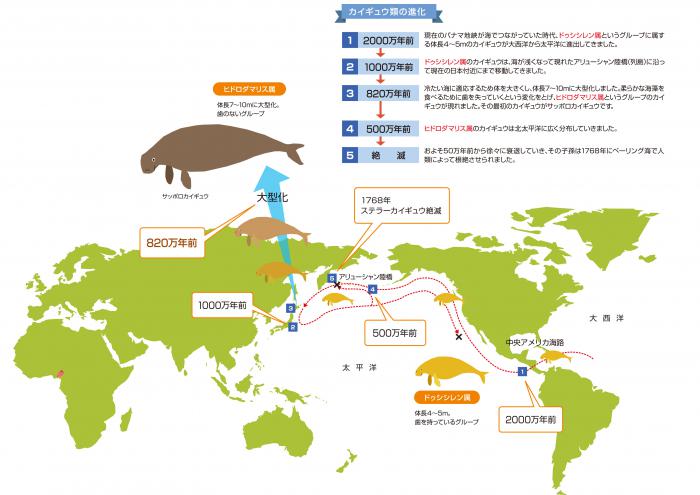 カイギュウ進化地図