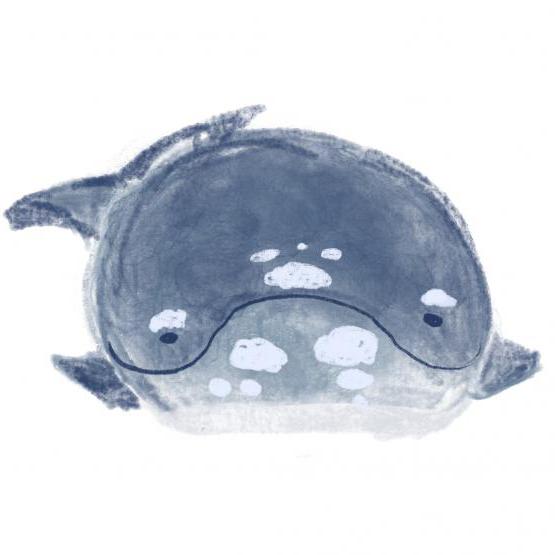 クジラちゃんアイコン
