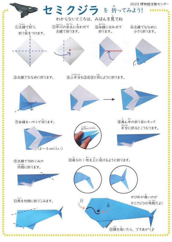 セミクジラ折り方