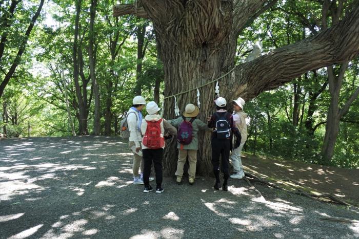 相馬神社のシバグリ