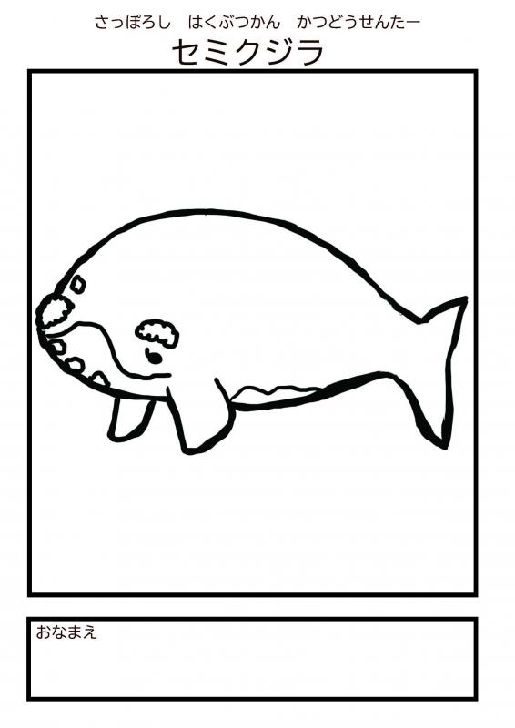 セミクジラぬりえ