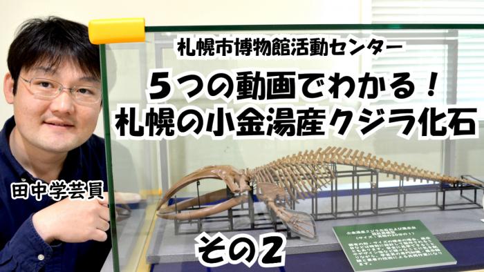 クジラ動画その2
