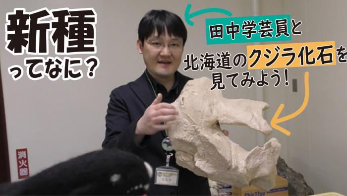 クジラ動画サムネ
