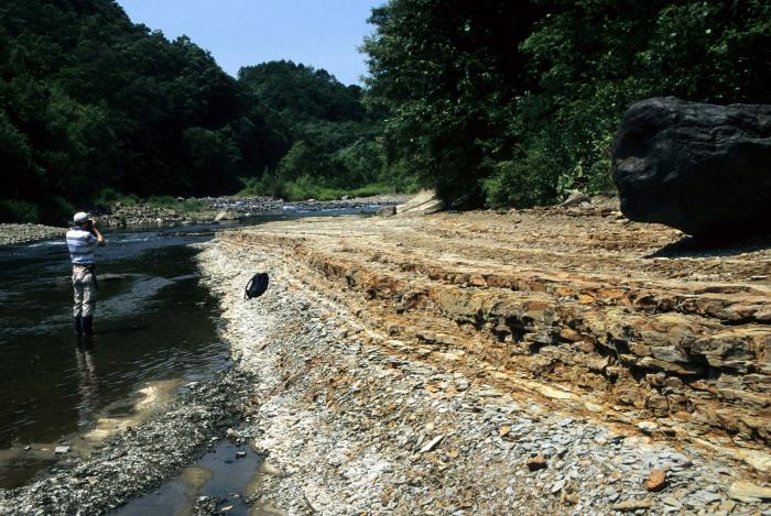 砥山の砂岩泥岩互層