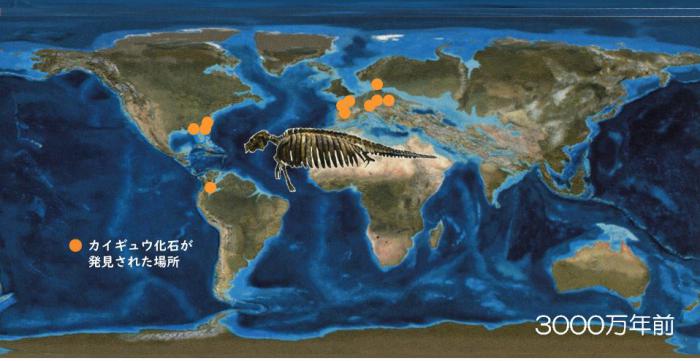 漸新世カイギュウ分布地図