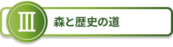 3.森と歴史の道