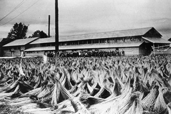 昭和18年（1943年）頃の工場