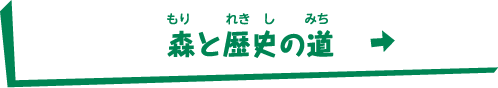 森と歴史の道