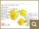 画像拡大して表示