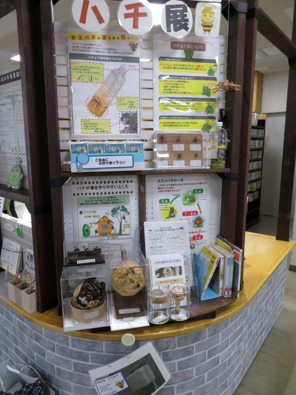 ハチ展の様子