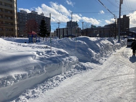 公園雪入れ利用