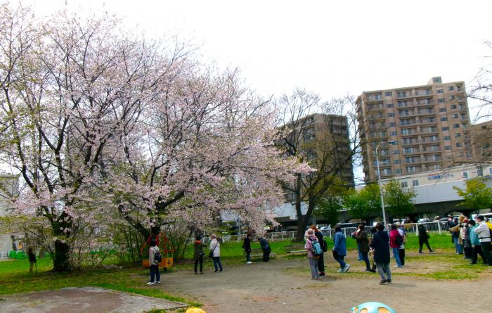 農試公園付近の広場