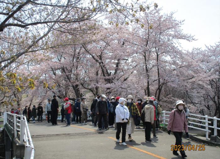 農試公園内散策