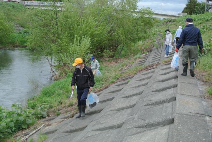 琴似発寒川の清掃