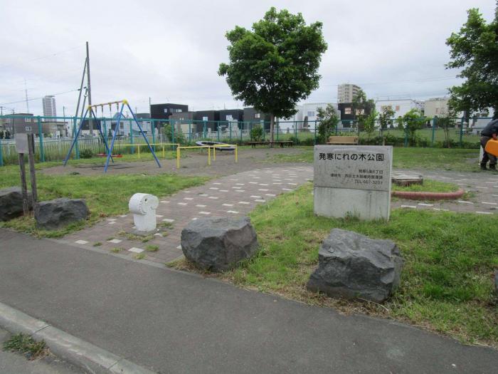 発寒にれの木公園
