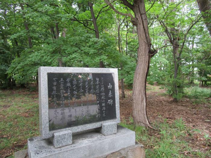 発寒特別緑地保全地区