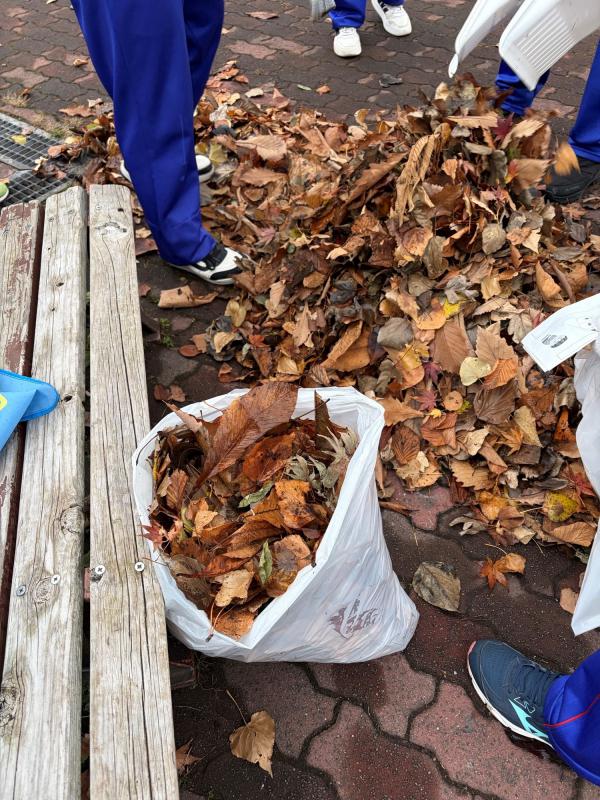 キラキラ7days（みどり貯金箱2）