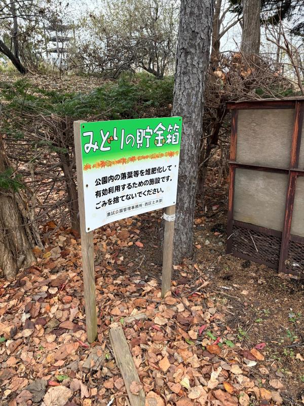 キラキラ7days（みどり貯金箱）