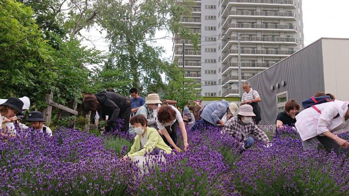 花穂狩りを楽しむ参加者