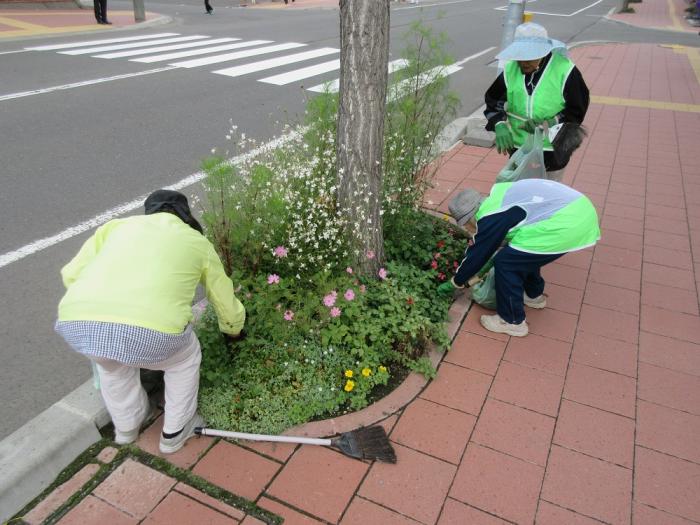 写真：わくわくハツキタ倶楽部が花壇を整備している様子