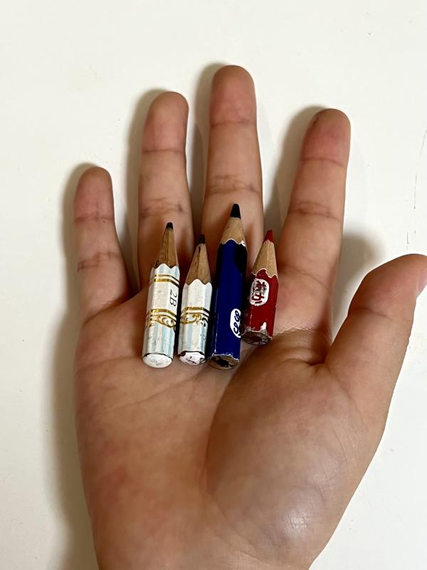 小学生以下の部入選1