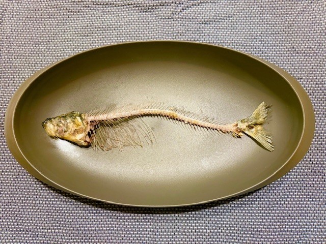 小学生以下の部入選2