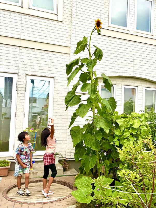 一般の部審査員特別賞(井上審査員)