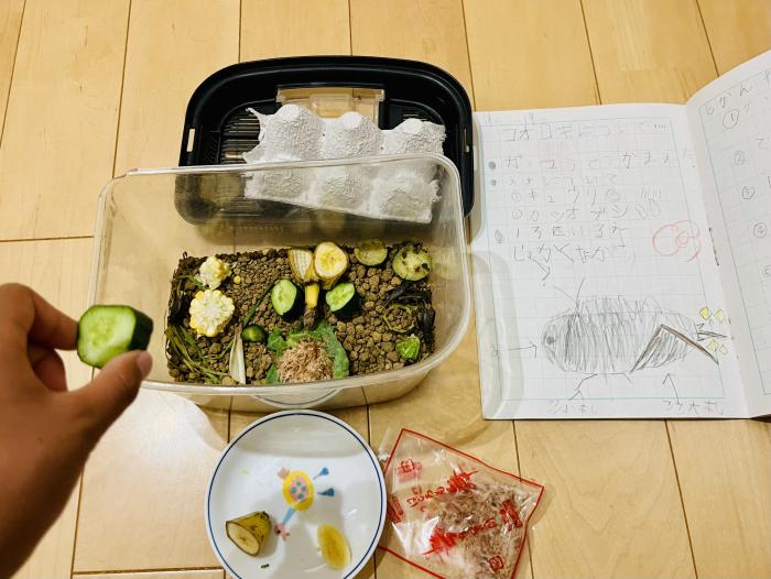 小学生以下の部2026_入選3