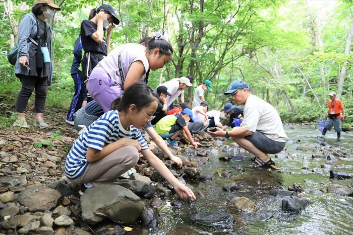 川の生き物を探す様子