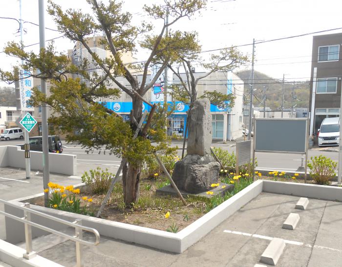 花壇全体