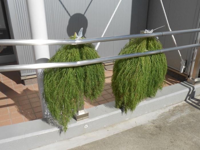 天日干し