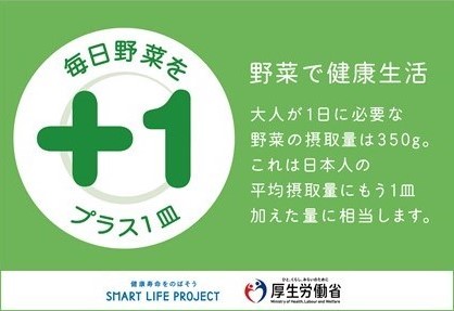 毎日プラス1皿の野菜