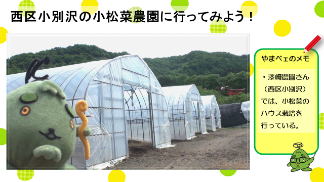 動画スライド：西区小別沢の小松菜農園に行ってみよう！