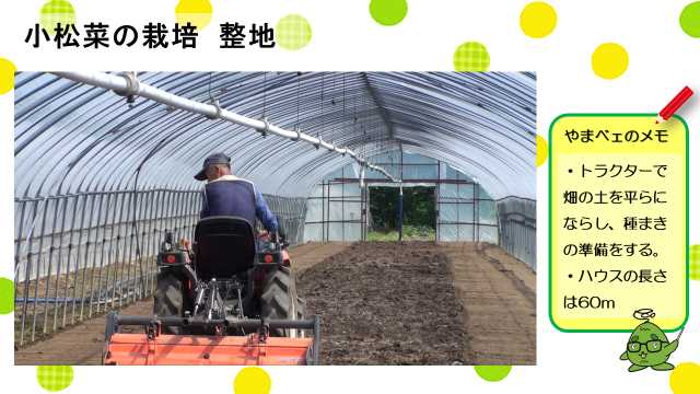 動画スライド：小松菜の栽培「整地」