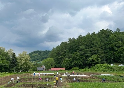 学生の農体験