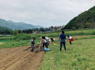 おやつ部の作業1