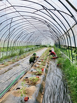 おやつ部の作業2