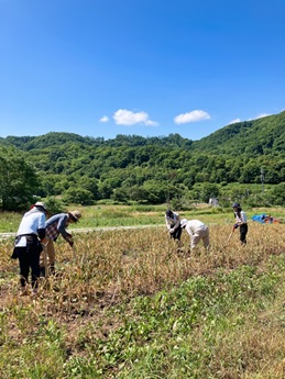 おやつ部の作業3