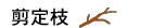 剪定枝