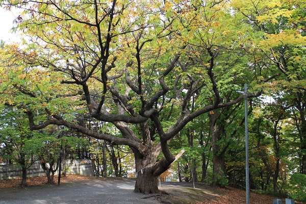 相馬神社