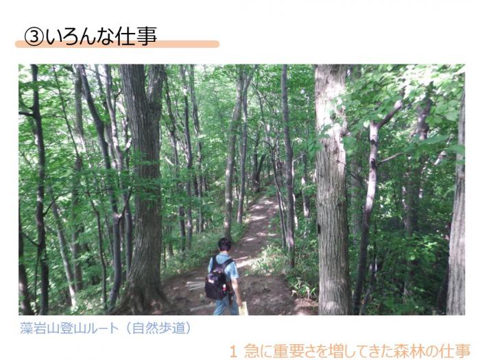 自然緑地登山