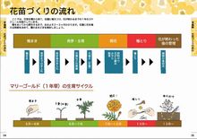 準備編ページのイメージ