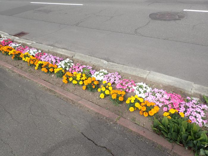 第四太平団地町内会のます花壇