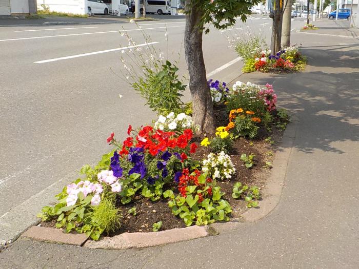北栄町内会のます花壇