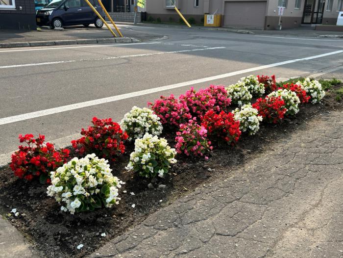 八軒東和町内会のます花壇